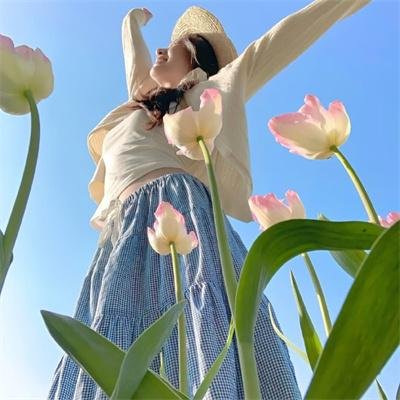 双星觅宝